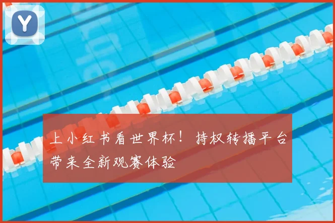 上小红书看世界杯！持权转播平台带来全新观赛体验