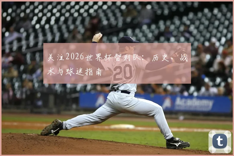 关注2026世界杯智利队：历史、战术与球迷指南