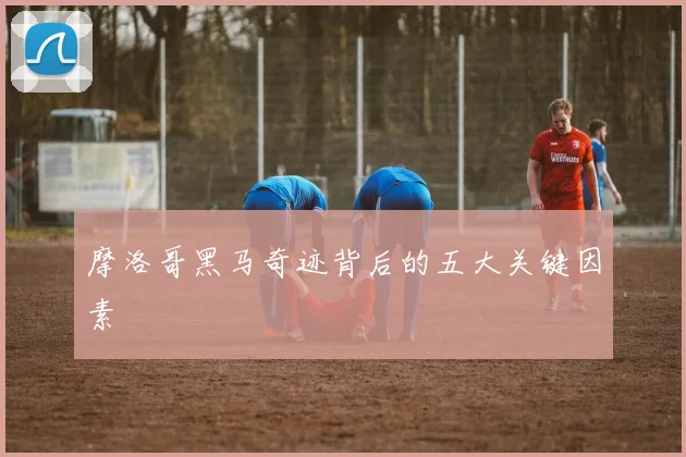 摩洛哥黑马奇迹背后的五大关键因素