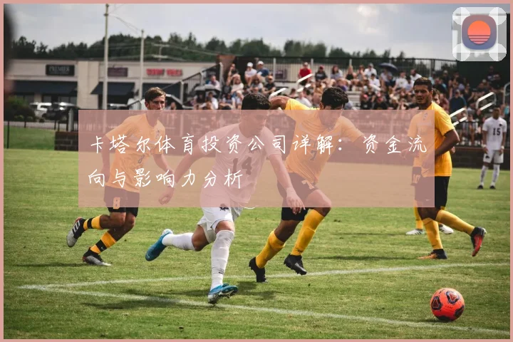 卡塔尔体育投资公司详解：资金流向与影响力分析
